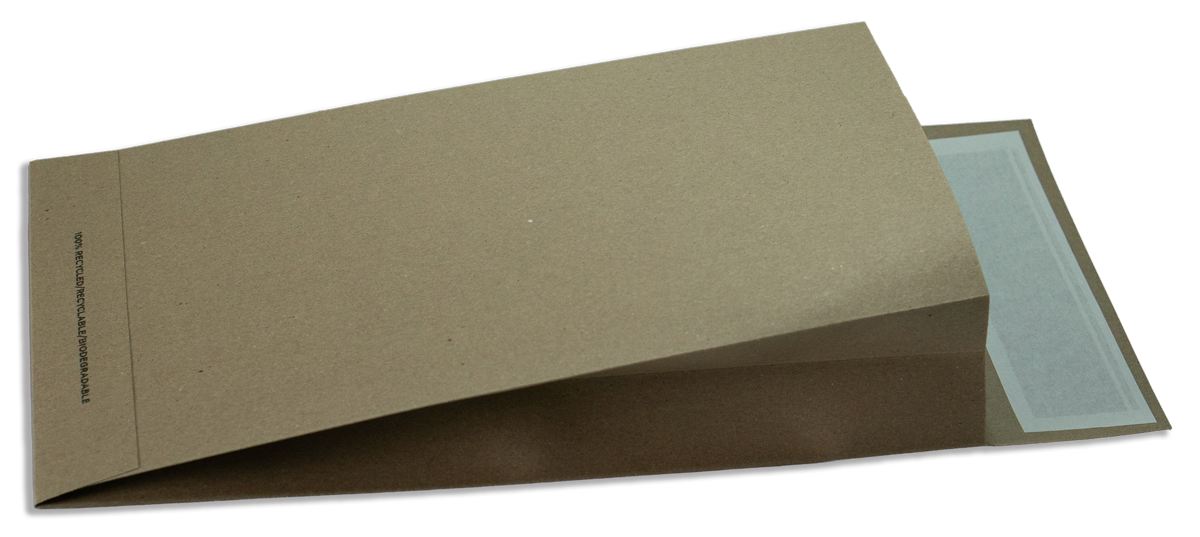 Expandable Envelope