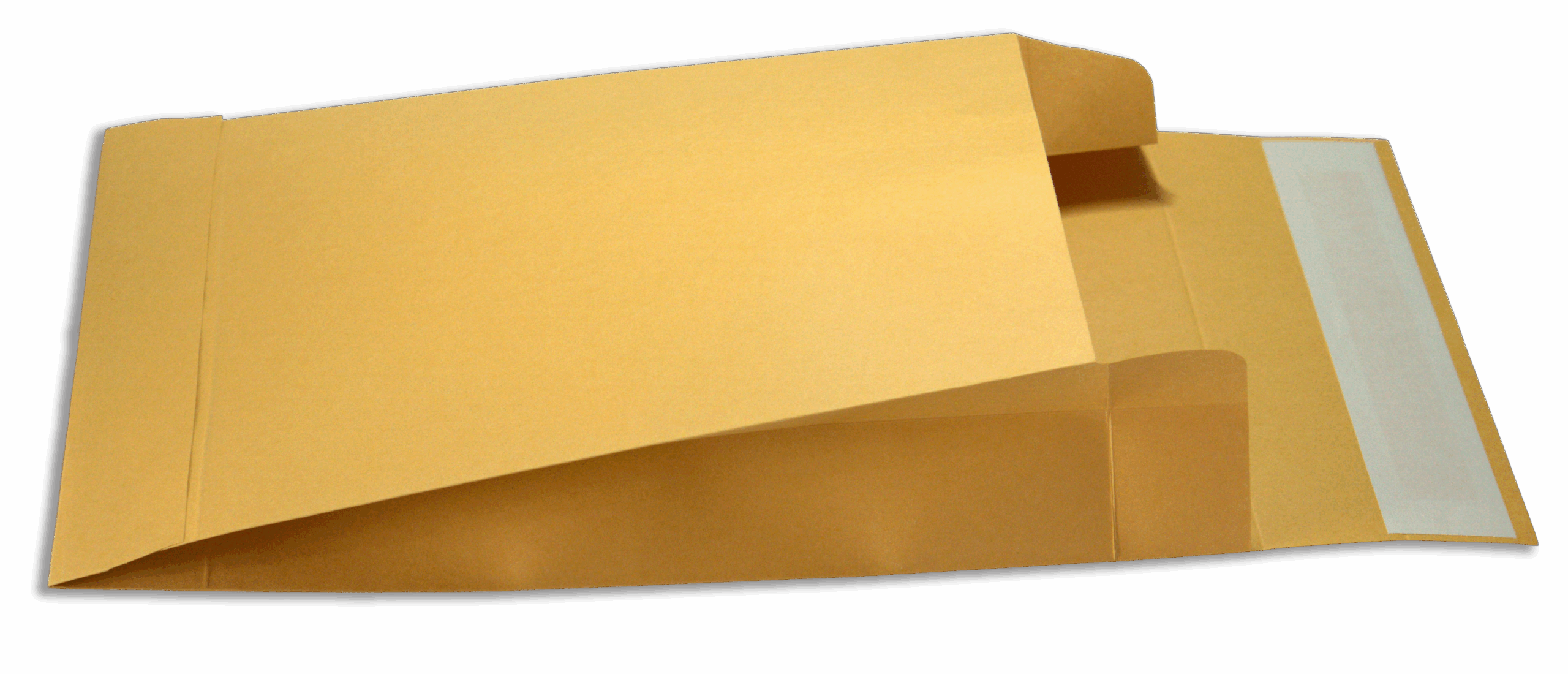 Expandable Envelope